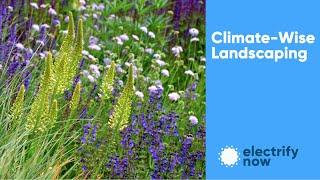 Climate Wise Landscaping - Sequestering Carbon at Home