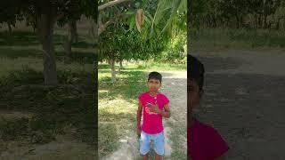 Satyam Kumar
