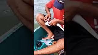 Pakistani fishing     