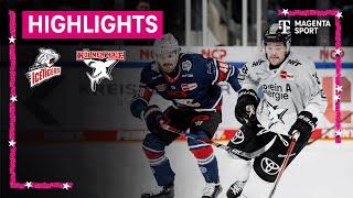 Nürnberg Ice Tigers - Kölner Haie | PENNY DEL | MAGENTA SPORT