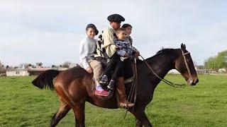 Caballo Zaino de Apadrinar garantido para todo $3.600.000 LOSEQUINOS.COM