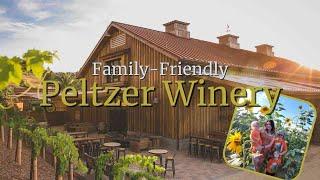 Fun Fall Day at Peltzer Family Cellars. Family-Friendly Winery in Temecula, Ca. FAMILY TRAVEL VLOG.