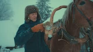 Grandfather. Part I. Winter - Horse Logging