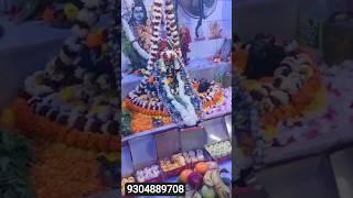 #kolkata #panditji #book #now #virelshorts #bhaktistatus #love #song #astrology#sorts #vlog ##shiv