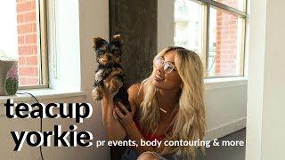 I GOT A TEACUP YORKIE + PR events, body contouring & more