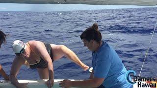 Oceans Seven Shark Attack ! Ranie Pierce Molokai (Kaiwi) Channel Swim Sharks in Hawaii