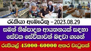 Job Vacancy 2023 | සබන් නිෂ්පාදන කර්මාන්තශාලා සේවක සේවිකාවන් | Personal finance | @supirijobak