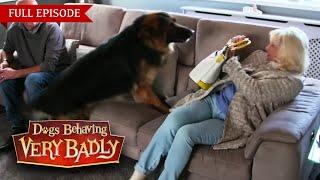 Dogs Behaving Very Badly: Series 3 - Episode 5 | Full Episode