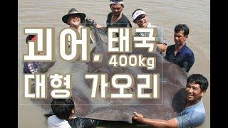 [FTV한국낚시채널] 괴어, 태국 400kg 대형 가오리, 몬스터피시, monster fish