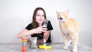 What Does Catnip Do To Cats? Why Cats Like Catnip (And More!)