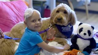 CHLA Dog Therapy Program 2017