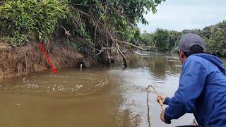 SAMBARAN GANAS IKAN PENGHUNI SUNGAI LAMANDAU