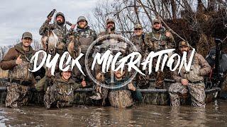 Duck Hunting- Duck Migration (Big Groups Falling in the Decoys)