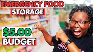 Prepper Pantry Food Storage | Sunday Stockpile Series