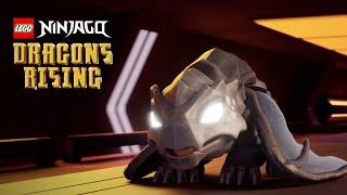 NINJAGO Dragons Rising | We Rise | Official Music Video!