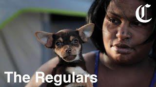 Street Medics Care for the Pets of Homeless and Low Income East Bay Residents | The Regulars