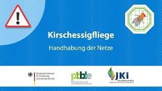 Kirschessigfliege: Handhabung der Netze