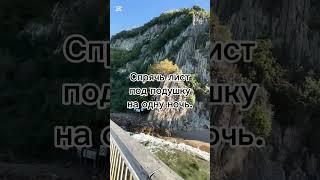  Ритуал на свой дом / квартиру #relax #силасознания #силамысли #аффирмации #ритуалы
