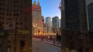 Chicago City #chicago #city #america #travel #nature #shorts