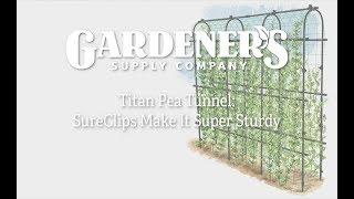 A Closer Look at the Titan Pea Tunnel | Gardener's Supply