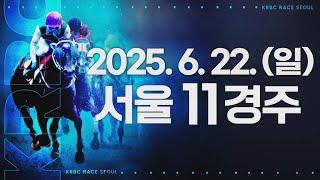 (서울) 2025.06.22 11경주