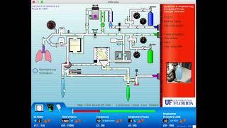 VAM - Breathing Circuit Demonstration