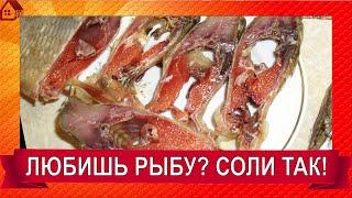 Зять делится - РЕЦЕПТ ЗАСОЛКИ РЫБЫ/ Как засолить крупного Леща? Солите рыбу так и удивляйте друзей!