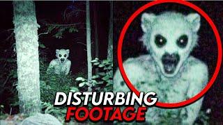 You Won't Believe the Camping Footage That's Too Scary to Ignore