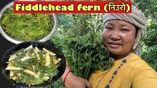 Wild fiddlehead head fern (निउरो)search in jungle & cooking village style\Susmita Gharti\