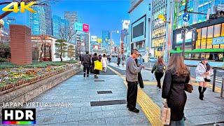 Tokyo Japan - Shinjuku City Evening Walk • 4K HDR