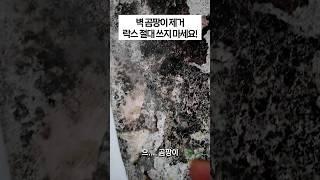 30년 경력 세탁 전문가의 1초 만에 벽 곰팡이 제거 비법! (락스 X)