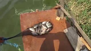 Ловля карася весной на реке. Рыбалка на карася. Рыбалка на донки