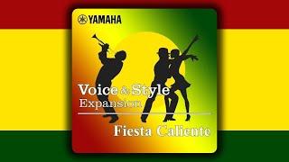 Yamaha PSR S775 - Expansion Pack - Fiesta Caliente