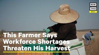 How Workforce Shortages Threaten Farm Harvests