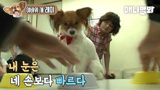 Dog With A Marvelous Ability Competing With Magician