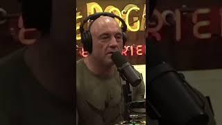 joe rogan vs  matt walsh on gay marriage