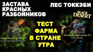  ЛЕС ТОККЭБИ. ЗАСТАВА КРАСНЫХ ВОЛКОВ. Тест фарма серебра в Стране Утра БДО (BDO - Black Desert)