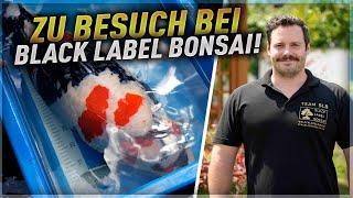 9 TEICHE und hunderte BONSAI! Zu Besuch bei BLACK LABEL BONSAI 2024!