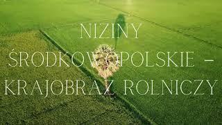 Niziny Środkowopolskie – krajobraz rolniczy #geografia