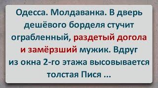 ️ Толстая Песя! Еврейские Анекдоты! Анкдоты про Евреев! Выпуск #403