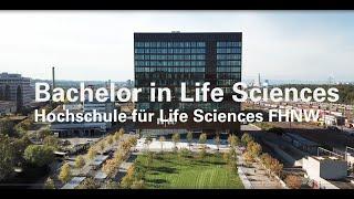 Virtueller Rundgang Hochschule für Life Sciences FHNW