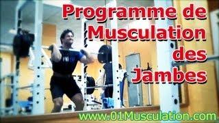 Programme Musculation Cuisses Quadriceps