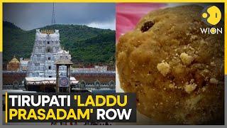 Tirupati Laddu Row: Report Finds Adulteration in Sample, Doesn't Confirm Animal Fat | WION News