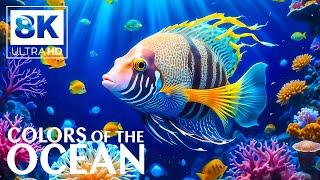 8K Underwater Wonders  Tropical Fish, Jellyfish Aquarium, Coral Reef - Stress And Anxiety Relief