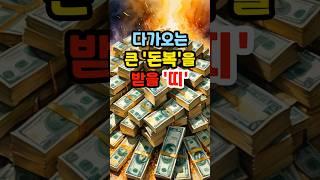 다가오는 큰 '돈복'을 받을 띠 #운세 #띠별운세 #금전운 #돈복 #재물운 #로또