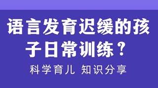 语言发育迟缓的孩子日常训练？