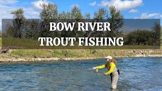 Incredible Bow River Trout Fishing