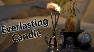 Light Up Your Life with Everlasting Candles - The Solution for Eco-Friendly and Lasting Ambiance!