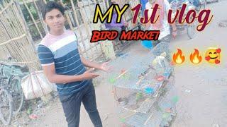 My 1st  Vlog // Motihari  Birds market 