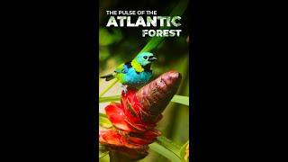 Discover Never-Seen-Before Wildlife Creatures 